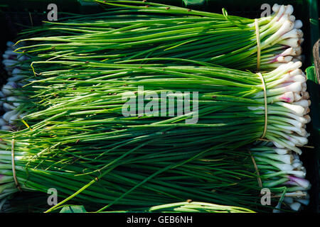 Grüne Zwiebel auf dem Straßenmarkt in Vietnam Stockfoto