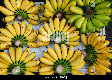 Reife Bananen auf dem Straßenmarkt in Vietnam Stockfoto