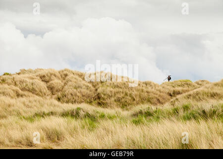 Vogelbeobachter entlang Tierwelt Erhaltung Website mit Teleskop, Gronant Dünen, Prestatyn, North Wales, UK Stockfoto