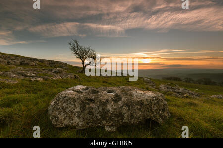 Ein Weißdorn Baum steht vor einem Sonnenuntergang Himmel mit Kalkstein Felsen im Vordergrund, Langcliffe, Yorkshire Dales, England, UK Stockfoto