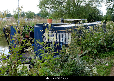 schmale Boot vertäut unter Unkraut am Oxford-Kanal bei Cropredy in der Nähe von Banbury England uk Stockfoto