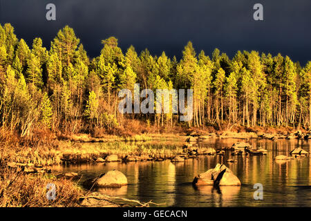 Atem, bevor Sie den Sprung zu wagen. Wald im Hinblick auf roten Sonnenuntergang im Hintergrund der drohenden Gewitter. Baum dunkel schwarzen Himmel, gelb Stockfoto