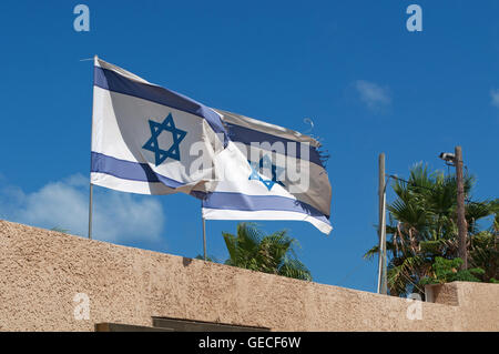 Tel Aviv: Zwei wehenden Fahnen Israels, der Flagge Israels am 28. Oktober 1948 angenommen wurde, 5 Monate nach der Gründung des Staates Israel Stockfoto