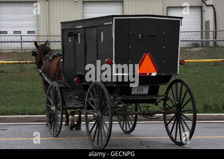 Amische Buggy, Goshen, Indiana, USA Stockfoto