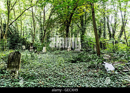 Berlin-Weißensee, jüdischer Friedhof; Jüdischer Friedhof, der Größte in Europa Stockfoto