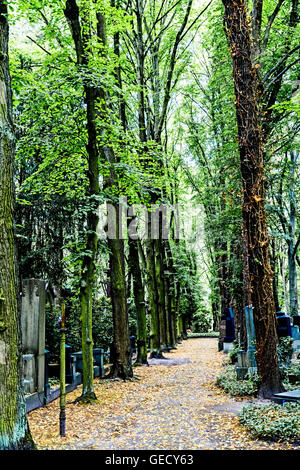 Berlin-Weißensee, jüdischer Friedhof; Jüdischer Friedhof, der Größte in Europa Stockfoto