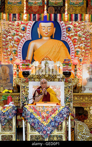 Seine Heiligkeit der Dalai Lama während Unterweisungen im Namgyal Kloster in Tsuglagkhang complex. McLeod Ganj, Dharamsala Himachal Pra Stockfoto