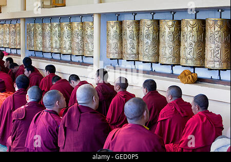 Mönche im Namgyal Kloster in Tsuglagkhang complex. McLeod Ganj, Dharamsala Himachal Pradesh Zustand, Indien, Asien Stockfoto