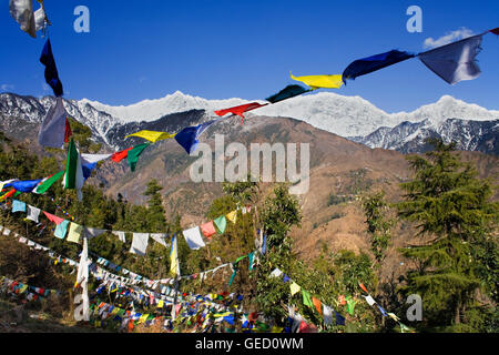 Tibetischen Gebet Fahnen in Lhagyal-Ri, in der Nähe von Tsuglagkhang complex, McLeod Ganj, Dharamsala, Hi Stockfoto