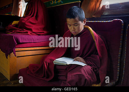 Puja, Mönche beten, in Dip Tse Chok Ling Monastery.McLeod Ganj, Dharamsala Himachal Pradesh Zustand, Indien, Asien Stockfoto