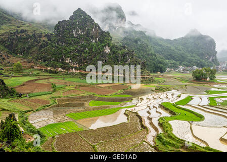 Charakteristische Landschaft mit Bergen und Reisfeldern in Nord-Vietnam Dong Van, Ha Giang, Stockfoto