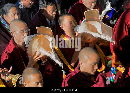 Puja, Mönche beten während Losar Neujahr, Namgyal Kloster in Tsuglagkhang Complex. McLeod Ganj, Dharamsala Himachal Prades Stockfoto