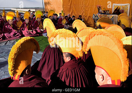 Puja, Mönche beten während Losar Neujahr, Namgyal Kloster in Tsuglagkhang Complex. McLeod Ganj, Dharamsala Himachal Prades Stockfoto