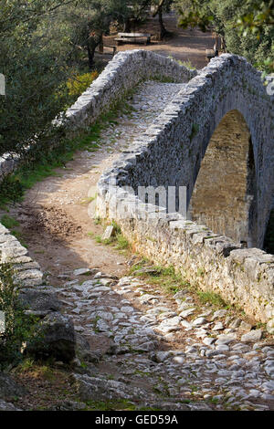 Llierca Brücke über Fluss Llierca-14. Jahrhundert-, zwischen Sadernes und Montagut Dörfer, La Garrotxa, Girona, Spanien Stockfoto
