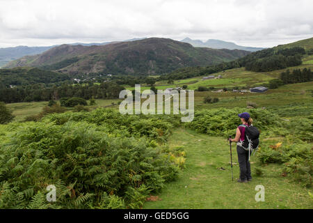 Eine einsame weibliche Wanderer aus den unteren hängen der Moel Hebog im Snowdonia National Park mit Blick auf die Stadt Beddgelert. Stockfoto