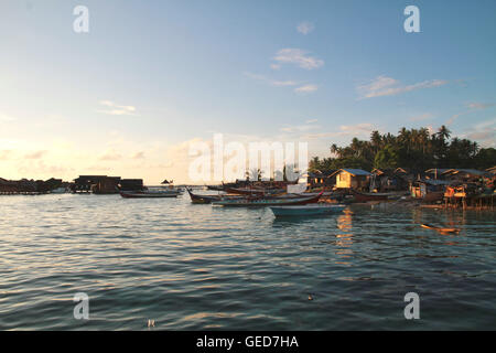 Luwak Coffee Bean Stockfoto