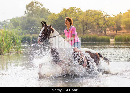 Marwari Pferde. Reiter auf Skewbal Stute im Trab in einem See. Rajasthan, Indien. Stockfoto