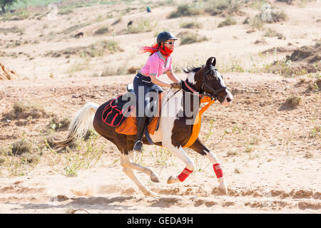 Marwari Pferde. Reiter auf Skewbal Stute im Galopp in der Wüste. Rajasthan, Indien. Stockfoto