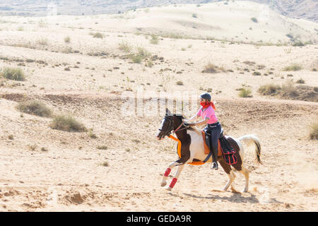 Marwari Pferde. Reiter auf Skewbal Stute im Galopp in der Wüste. Rajasthan, Indien. Stockfoto