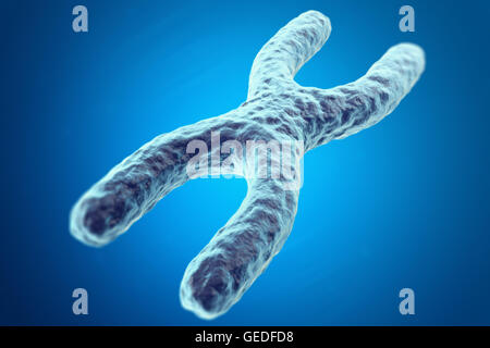 X-Chromosom auf blauem Hintergrund mit Fokuseffekt, wissenschaftliches Konzept. 3D illustration Stockfoto