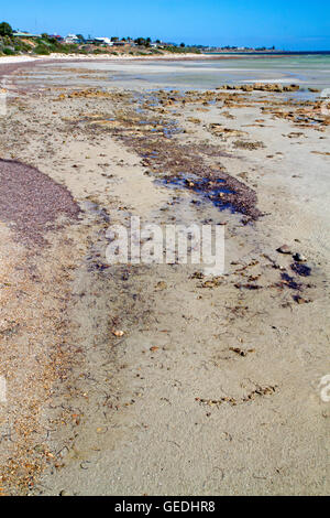 Moonta Bay Beach auf der Yorke Peninsula Stockfoto