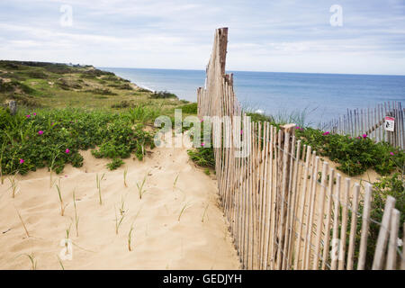 Hölzerne Strand Zaun im Bereich Marconi im Cape Cod National Seashore, Wellfleet, MA. Stockfoto