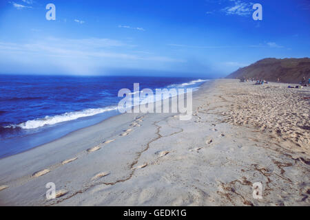 Nebligen blauer Strand in Wellfleet, Massachusetts auf Cape Cod. Stockfoto