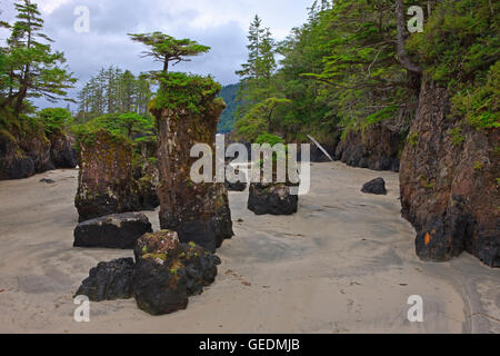 Geographie / Reisen, Kanada, British Columbia, Baum gekrönt Felsnadeln entlang der felsigen Küste des San Josef Bay in Cape Scott Provincial Park, Westküste, Nordinsel Vancouver, Vancouver Island, British Columbia, Stockfoto