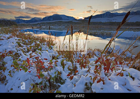 Geographie / Reisen, Kanada, Alberta, Waterton, Sonnenuntergang über einem kleinen Teich gesäumt von Gräsern und Schilf mit Berg Reflexionen nach der erste Schnee des Winters, Waterton Lakes National Park (ein UNESCO-Weltkulturerbe & Biosphären-Reservat), Alberta, Stockfoto