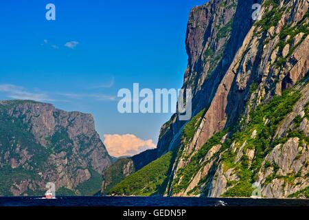 Geographie / Reisen, Kanada, Neufundland, das Ausflugsschiff West Brook II Reisen neben den Klippen von Western Brook Pond, Gros Morne National Park, UNESCO-Weltkulturerbe, Viking Trail, Trails, Wikinger, Autobahn 430, Northern Peninsula, große Nor Stockfoto