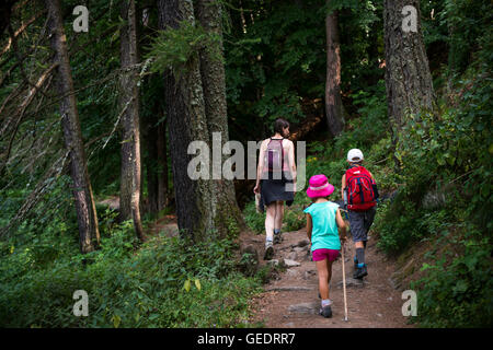 Frau und zwei Kindern Wandern auf bewaldeten Trail, Ansicht von hinten Stockfoto