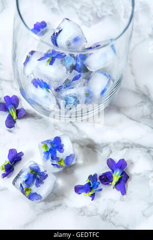 Eiswürfel mit essbaren Blüten Stockfoto