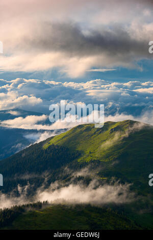 Kontrast und dramatische Nebel nach Regen in Bergen Karpaten Stockfoto