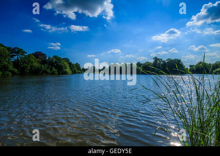 Schöne Landschaft nehmen in Osterley Park London UK Stockfoto