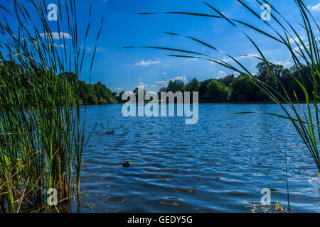 Schöne Landschaft nehmen in Osterley Park London UK Stockfoto