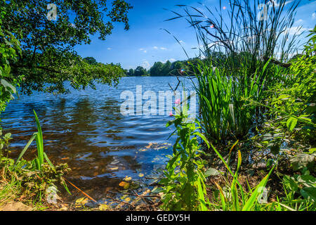 Schöne Landschaft nehmen in Osterley Park London UK Stockfoto