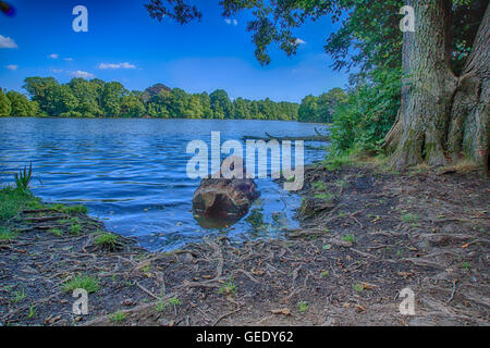 Schöne Landschaft nehmen in Osterley Park London UK Stockfoto