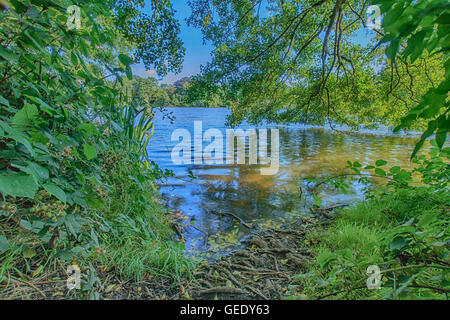 Schöne Landschaft nehmen in Osterley Park London UK Stockfoto