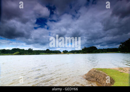 Schöne Landschaft nehmen im Richmond Park in London UK Stockfoto