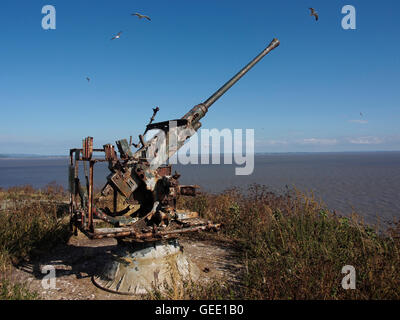 Möwen und alte Kanone, steilen Holm Stockfoto