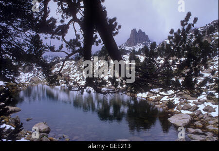 "Agulles D´Amitges´ Amitges Berge von Amitges Seen Aigüestortes i Estany de Sant Maurici National Park, Pyrenäen, Lleida p Stockfoto