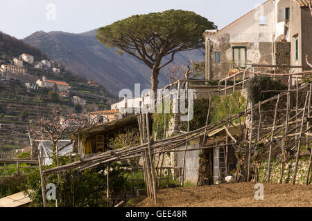 Einen Blick auf eine traditionelle Gartenterrasse und die Hügel bei Sonnenuntergang in Ravello, Salerno, Italien Stockfoto
