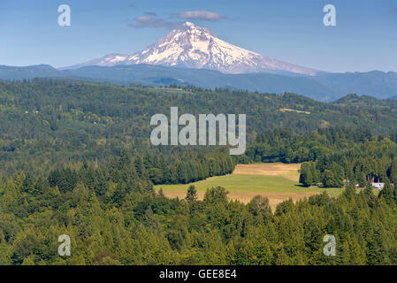 Jonsrud Sicht Wald und Mt. Hood in Sandy Oregon. Stockfoto