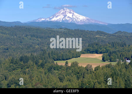 Jonsrud Sicht Wald und Mt. Hood in Sandy Oregon. Stockfoto