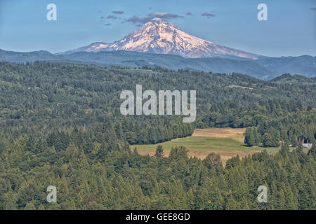 Jonsrud Sicht Wald und Mt. Hood in Sandy Oregon. Stockfoto