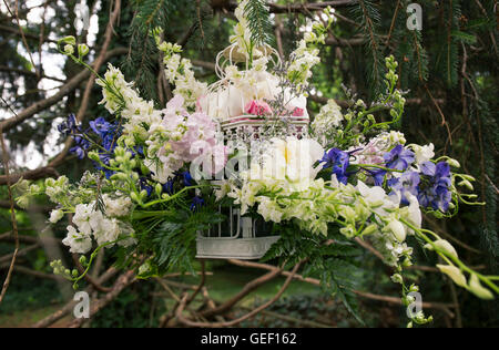 Blumen-Arrangement in einem Baum hängen Stockfoto