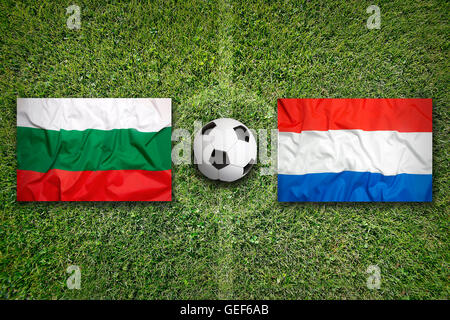 Bulgarien vs. Niederlande Flaggen auf grüne Fußballplatz Stockfoto