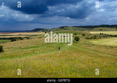 Die Ridgeway Path auf seine Oberfläche auf Ivinghoe Beacon Böcke Stockfoto