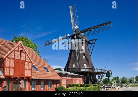 Mühle und Museum für Landwirtschaft, Lemkenhafen, Fehmarn Stockfoto