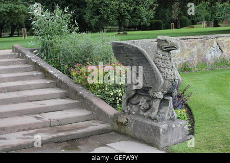 Griffin, bewachen die Steinstufen Coombe Abbey Stockfoto